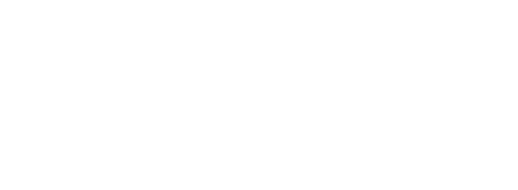 Festival PINE - partner 3D Studija