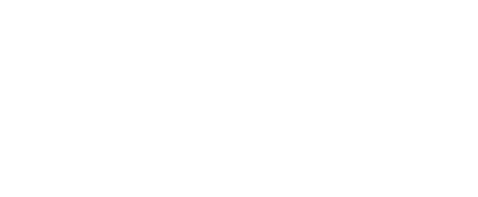 Schmitz Cargobull - partner 3D Studija